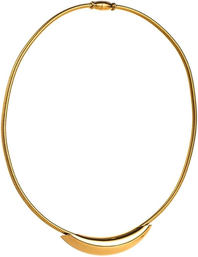 Dtja Chunky Choker Chain Necklace for Women Titanium Steel 18K Gold Plated Thick Round Snake Chai... | Amazon (US)