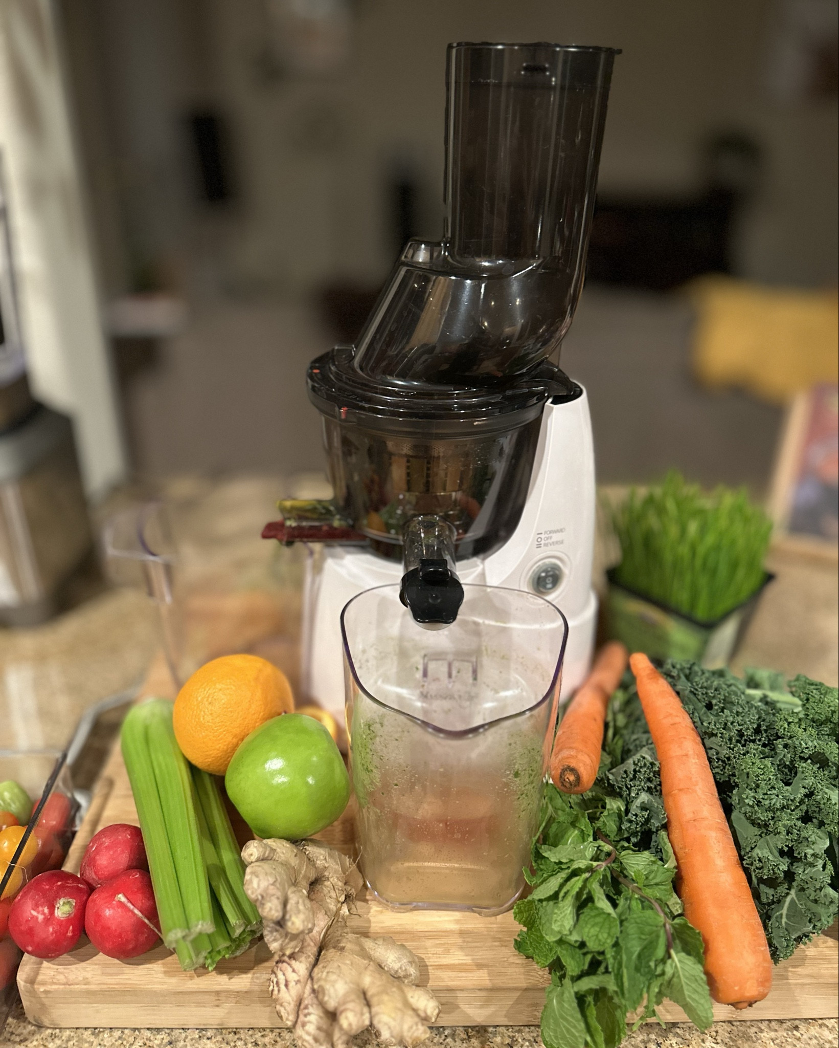 Health Lifestyle Item to create wellness shots. Weekly prep is magical with my new Kuvings  juicer and glass bottles. 

#LTKFitness #LTKActive #LTKHome