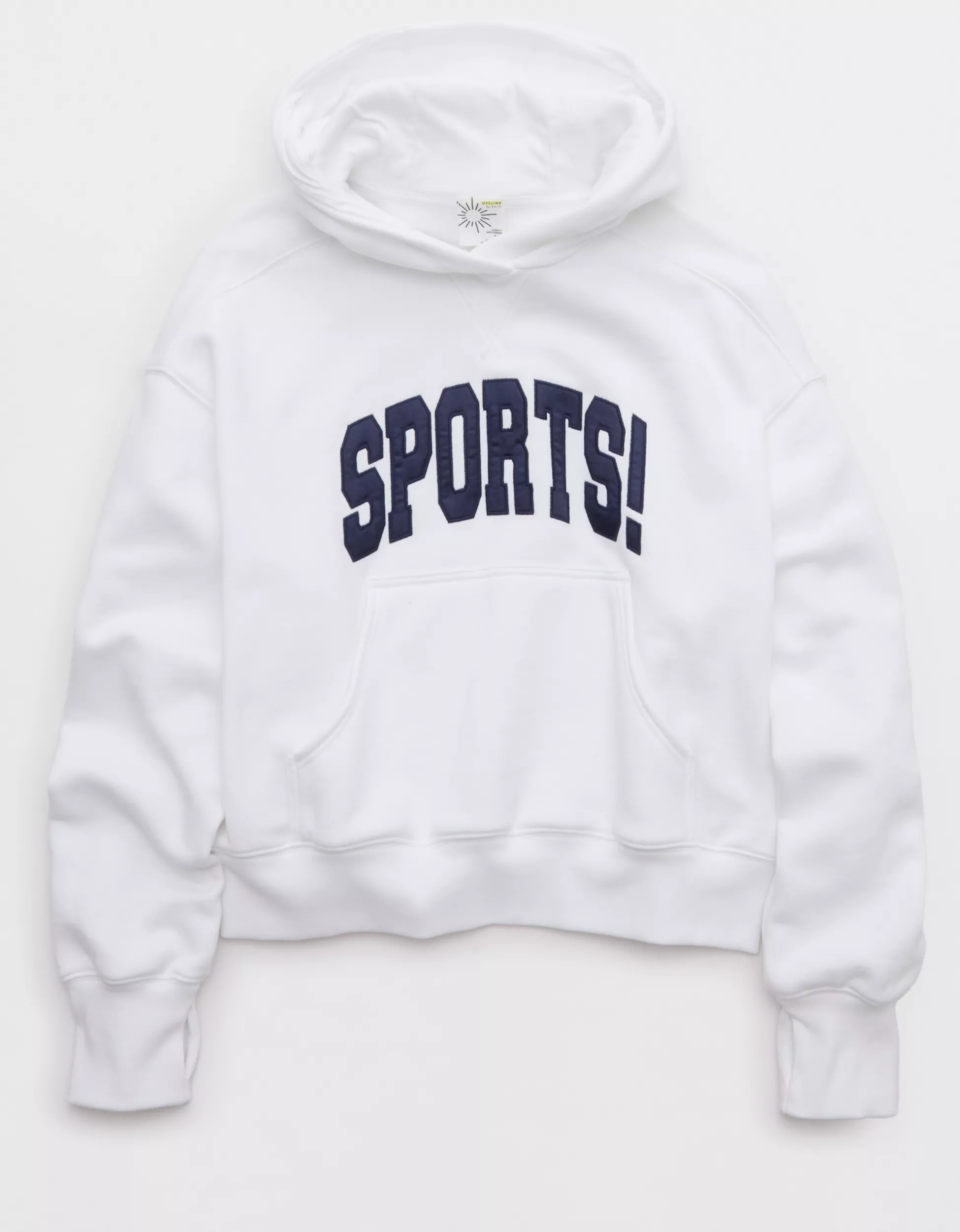 OFFLINE By Aerie Cloud Fleece Classic Length Hoodie | Aerie