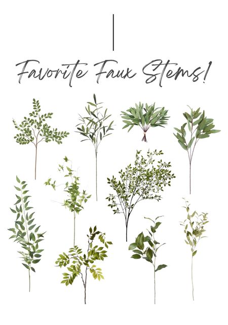 A round up of my favorite faux stems! Checkout my favorite Etsy shop that sells a lot of the same Afloral stems for have the price!

Faux stems, faux greenery, artificial stems, home decor, vases and stems, decor items

#LTKstyletip #LTKhome