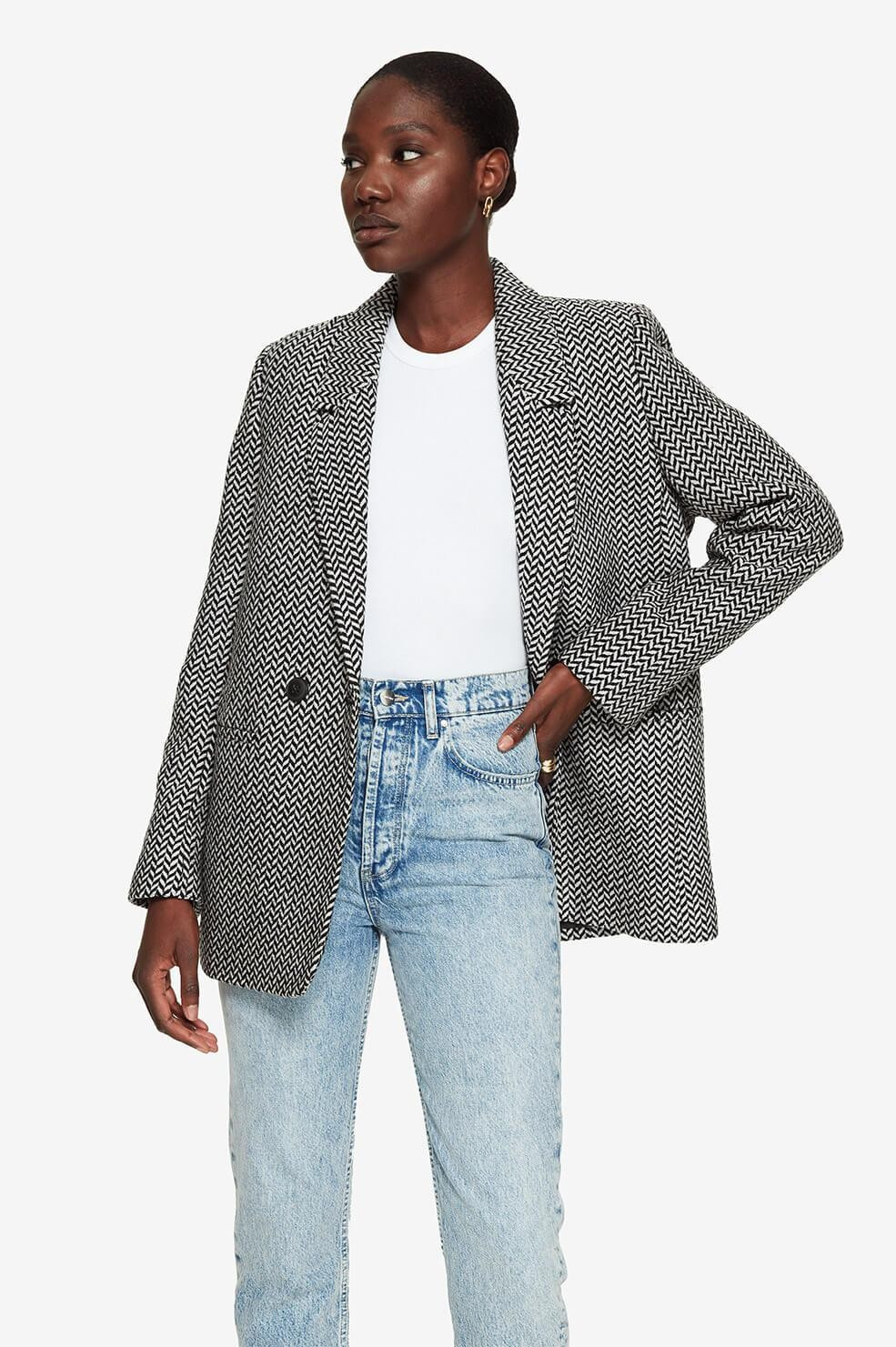 Fishbone Blazer | Anine Bing