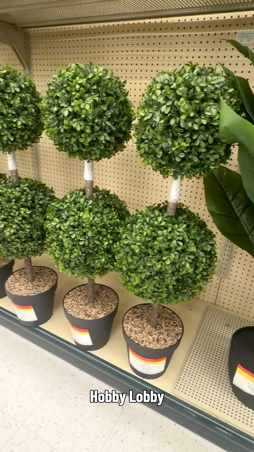🌿✨ Looking to add a little greenery to your home without the upkeep? Hobby Lobby has an amazing selection of topiaries and artificial plants in every size and style! From elegant entryway accents to cozy shelf décor, these realistic finds make it easy to bring life to any space year-round. 🌱🏡

#HobbyLobbyFinds #HomeDecor #TopiaryLove #ArtificialPlants

#LTKHome