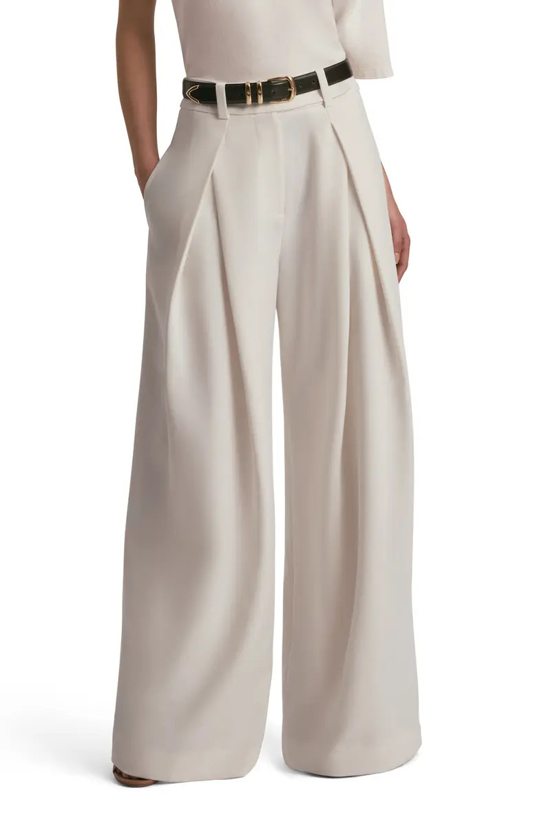 Pleated Wide Leg Pants | Nordstrom