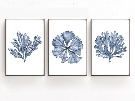 Printable Art Set of 3 Botanical Watercolor Paintings of Sea | Etsy | Etsy (US)