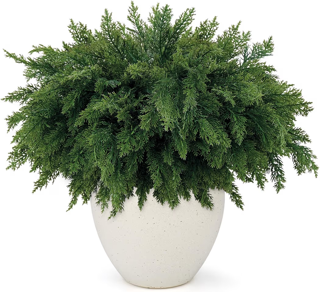 18 Inch Real Touch Cedar Branches - 12 Pcs Artificial Christmas Plants Branches, Faux Greenery Pi... | Amazon (US)