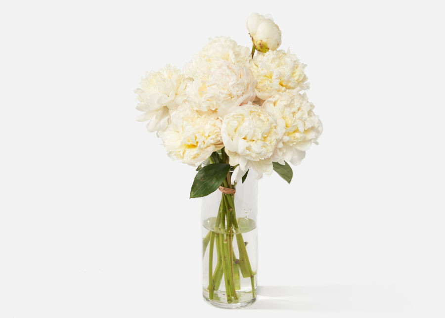 The Pearl | UrbanStems