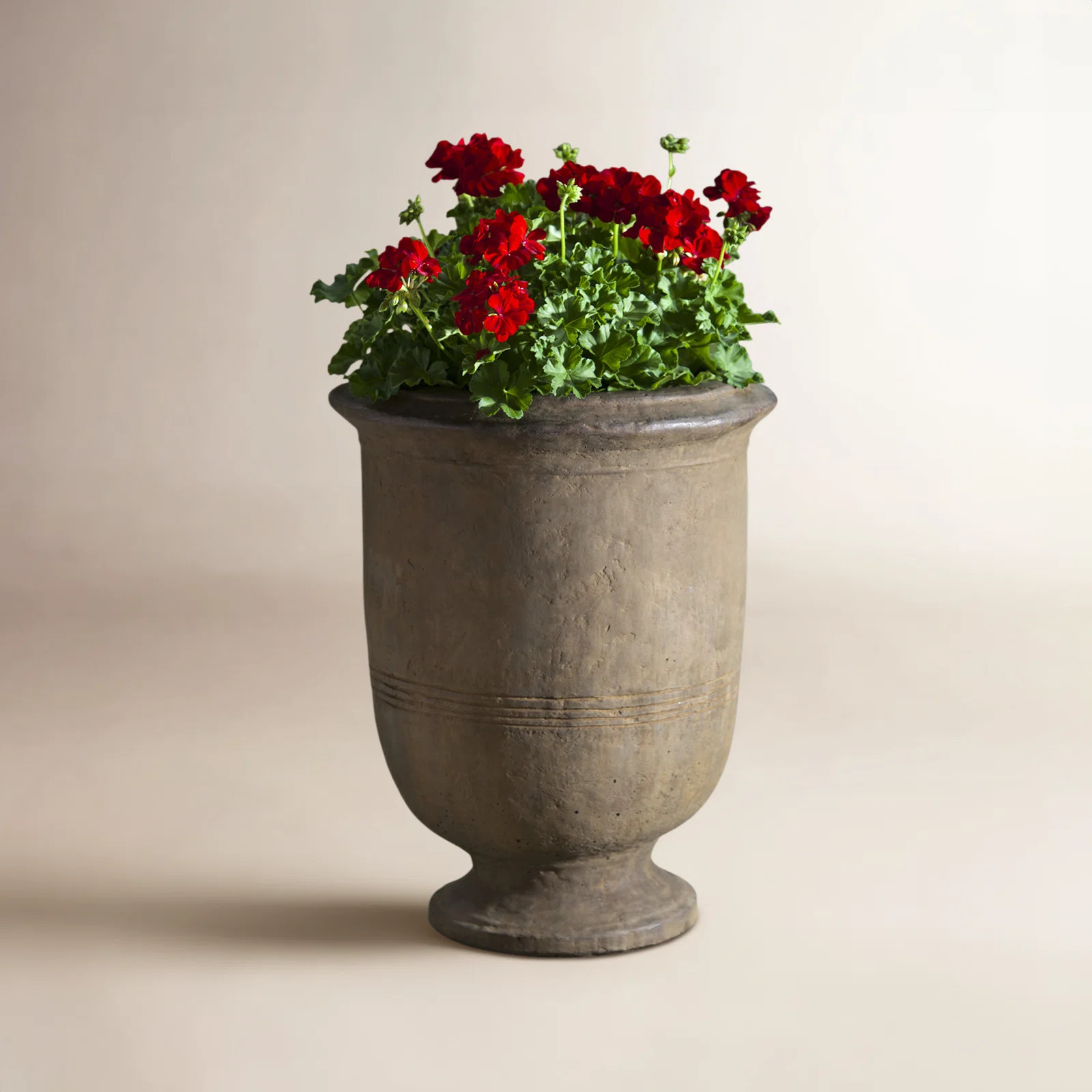 Provencal Handmade Urn Planter | Joss & Main