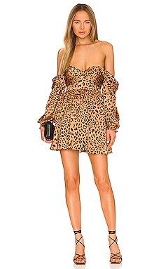 House of Harlow 1960 x REVOLVE Burna Mini Dress in Leopard from Revolve.com | Revolve Clothing (Global)