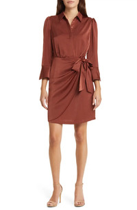 Click for more info about Satin Shirtdress