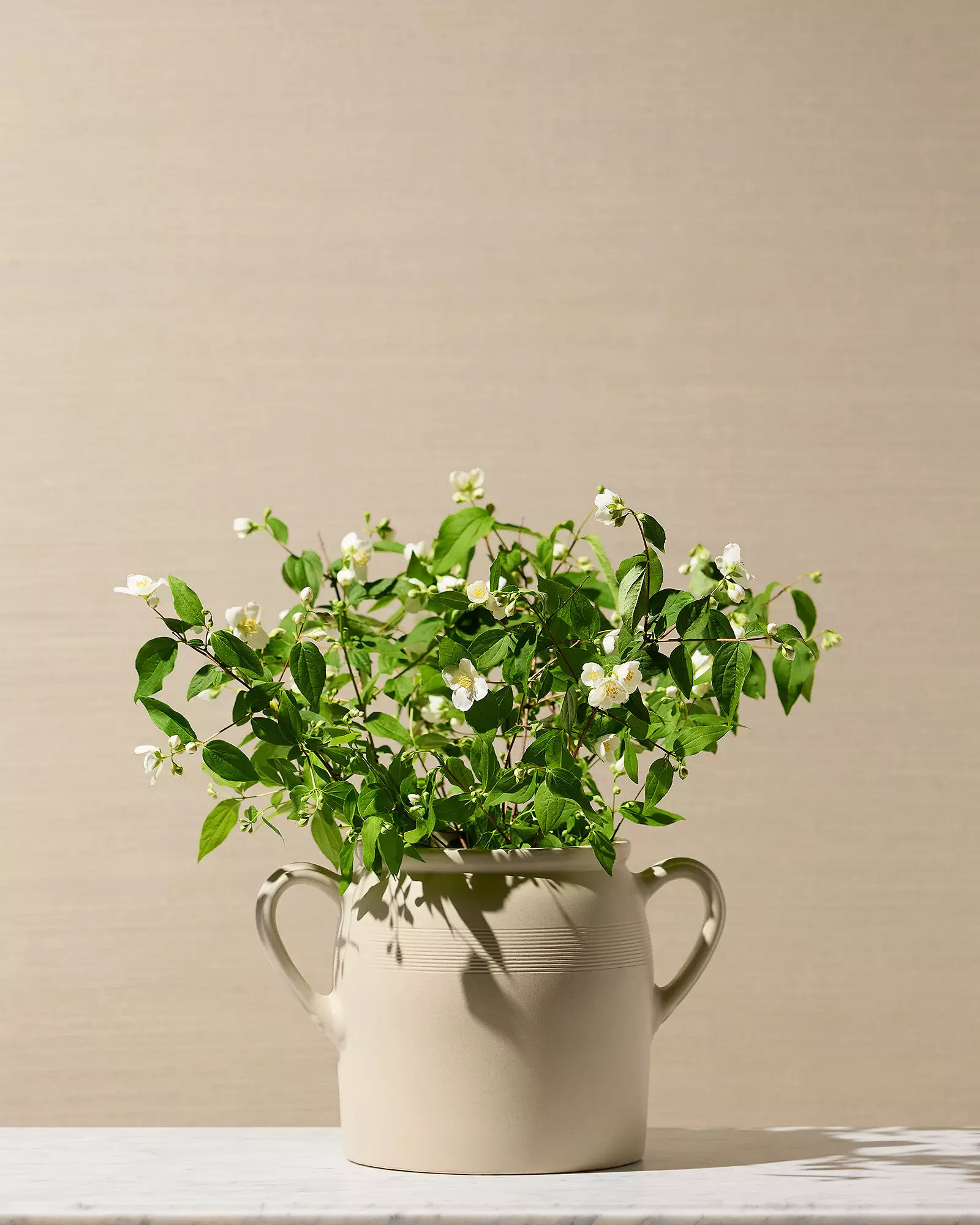 Fairfax Vase | Serena and Lily