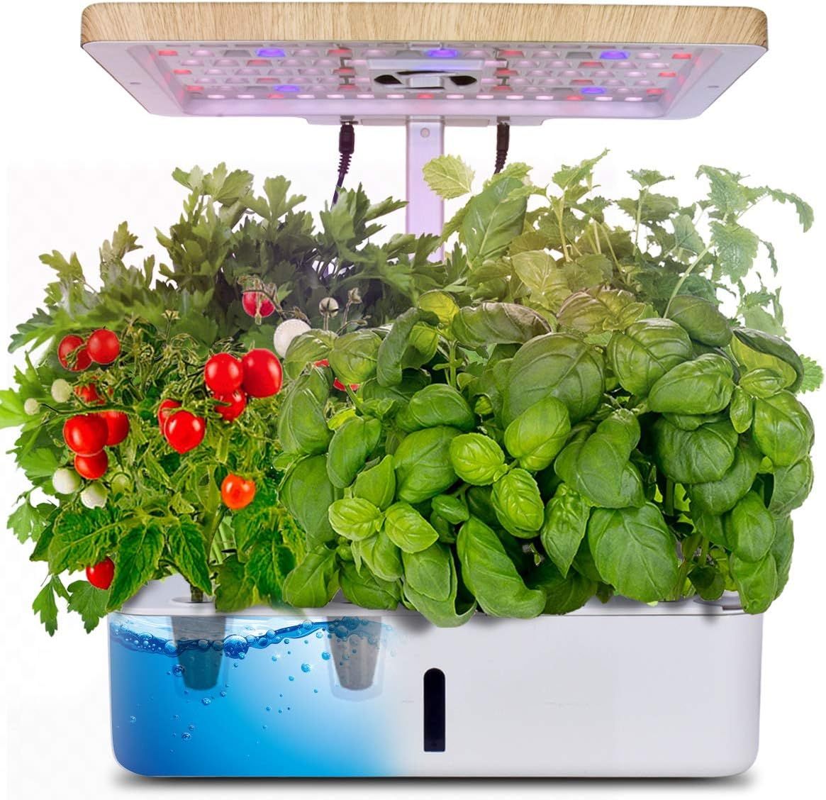 moistenland Hydroponics Growing System, Indoor Herb Garden Starter Kit, LED Grow Light, Plant Ger... | Amazon (US)