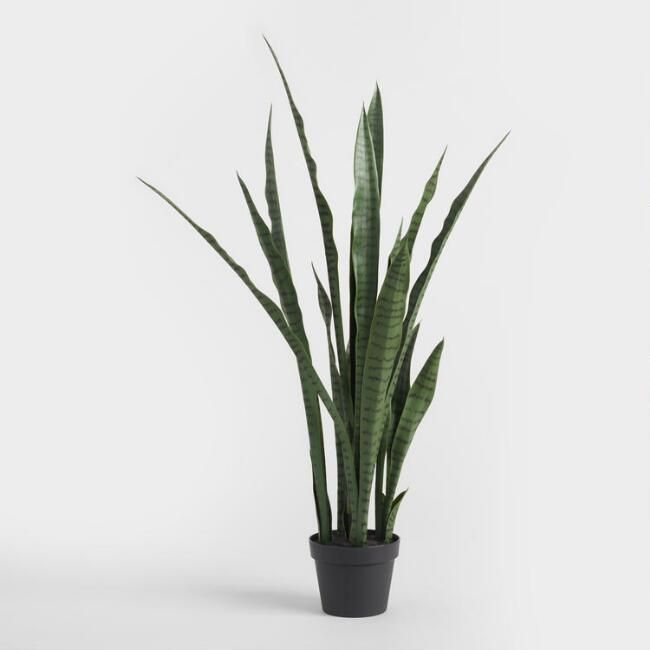 Faux Sansevieria Plant | World Market