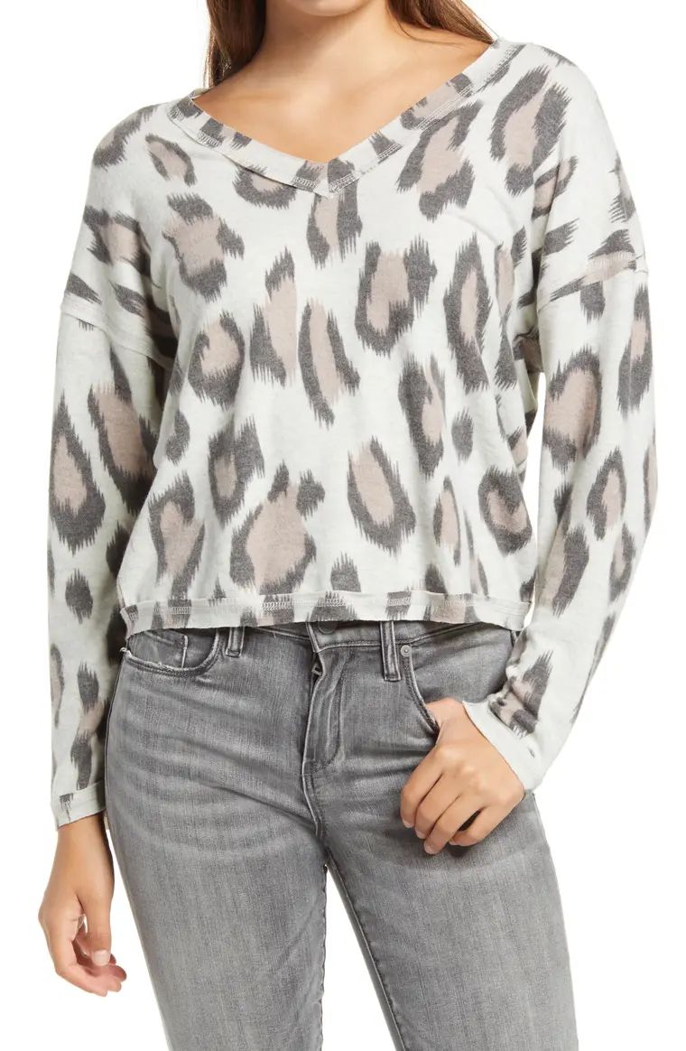 Leopard Print Cozy V-Neck Top | Nordstrom