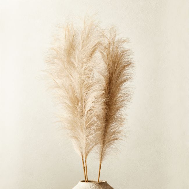 Faux Pampas Grass Taupe Stem 39" Set of 3 | CB2
