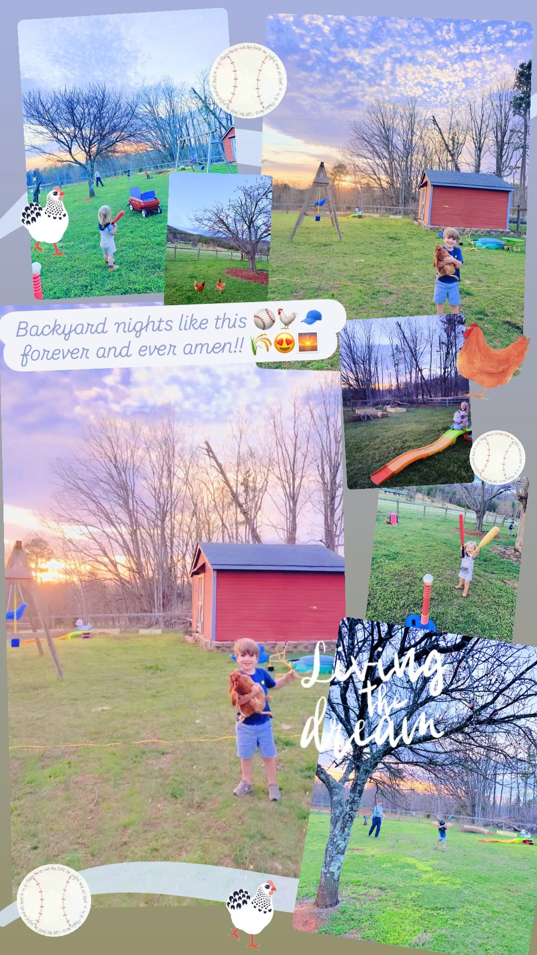 Backyard nights like this ⚾️🐓🧢 forever and ever amen!! 🌾😍🌅