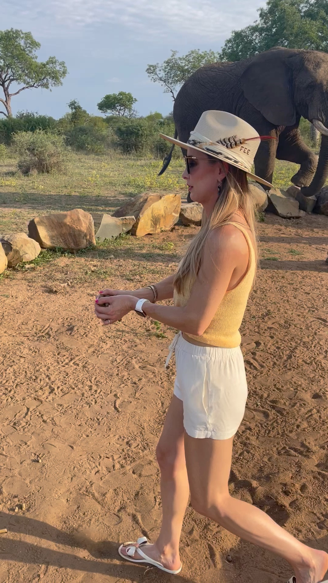 Safari 