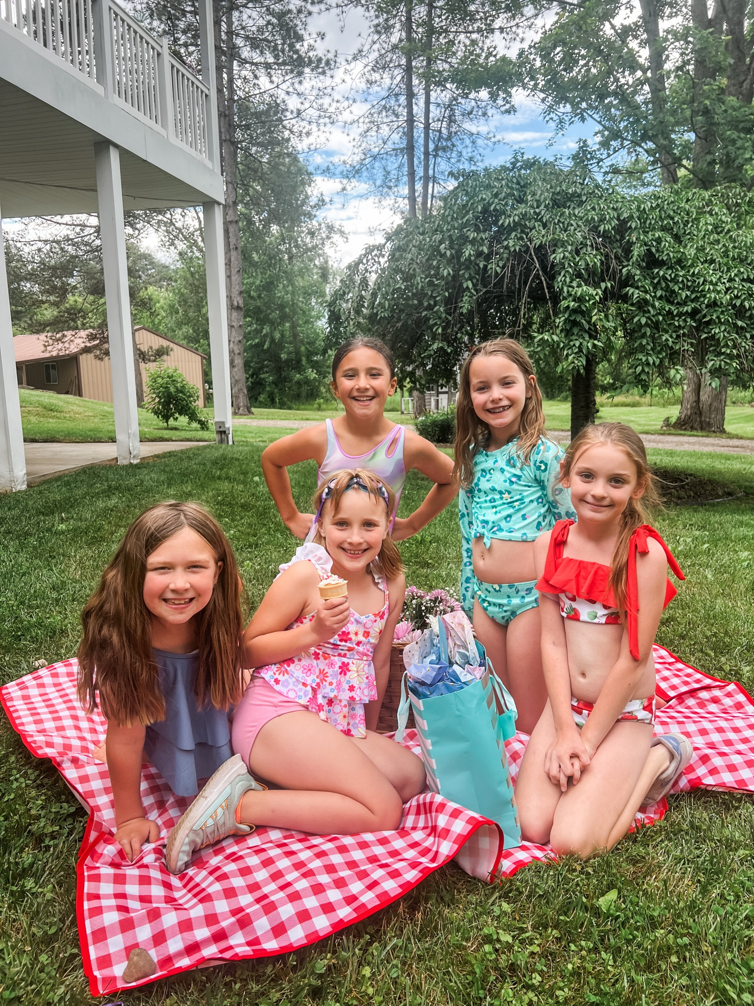 Picnic Birthday party supplies!!!

#LTKKids #LTKFamily #LTKSummerSales