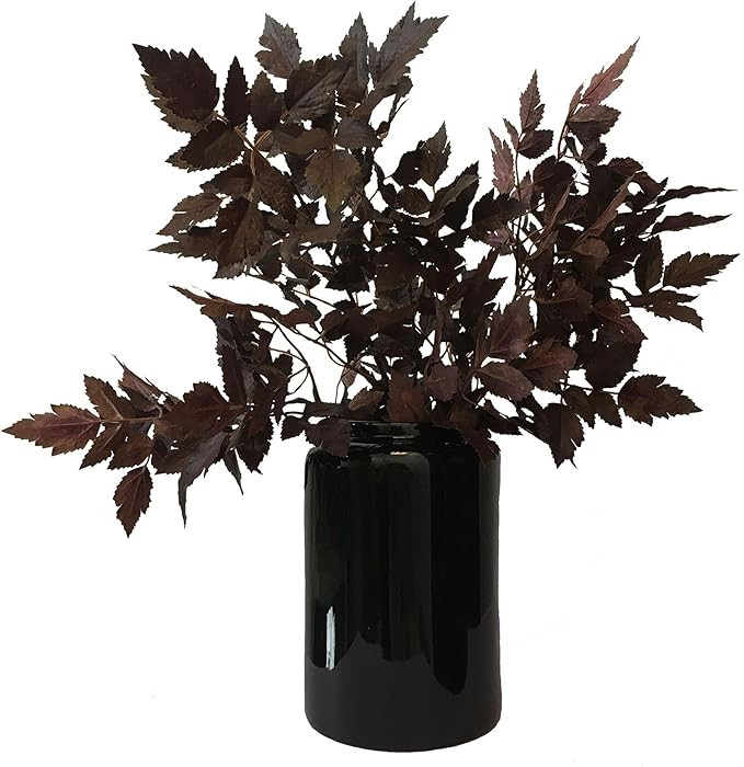 Artificial Cimicifuga Plant Leaf Spray Faux Cimicifuga Stems Artificial Plants Fake Leaves Faux B... | Amazon (US)
