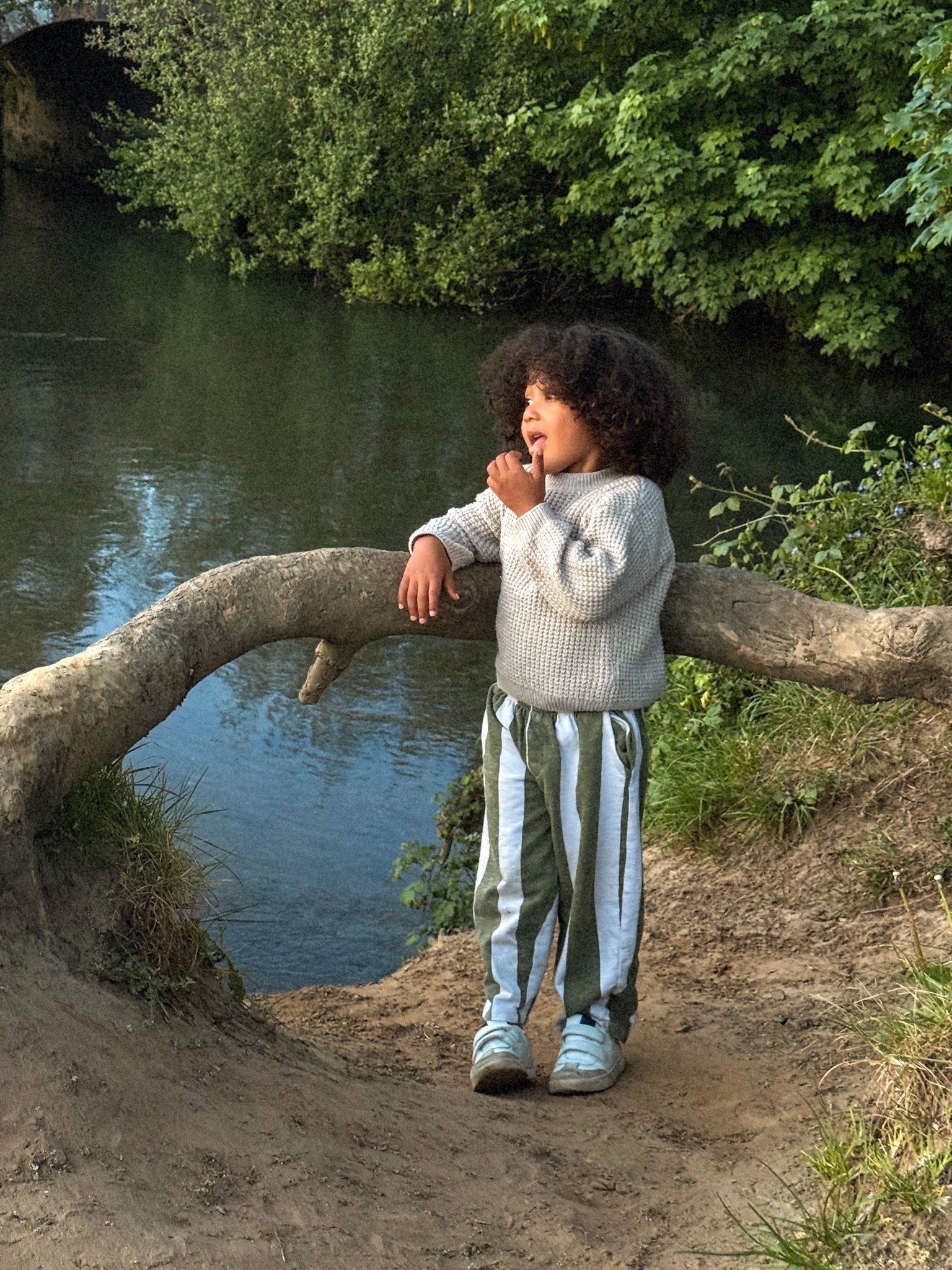 Toddler boy spring/summer trousers

#LTKspring #LTKsummer #LTKkids