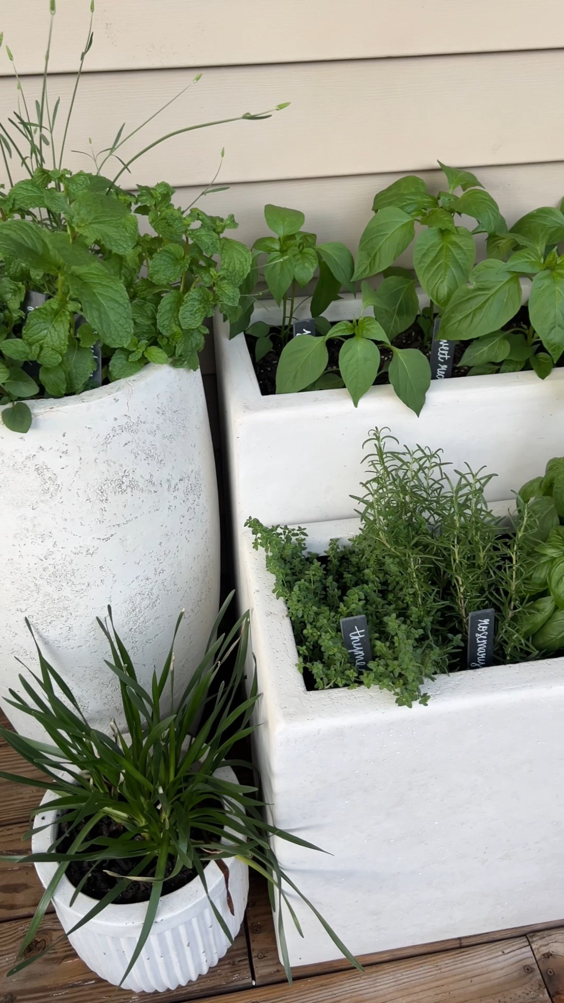 Balcony herb and pepper garden 

#LTKHome #LTKSeasonal