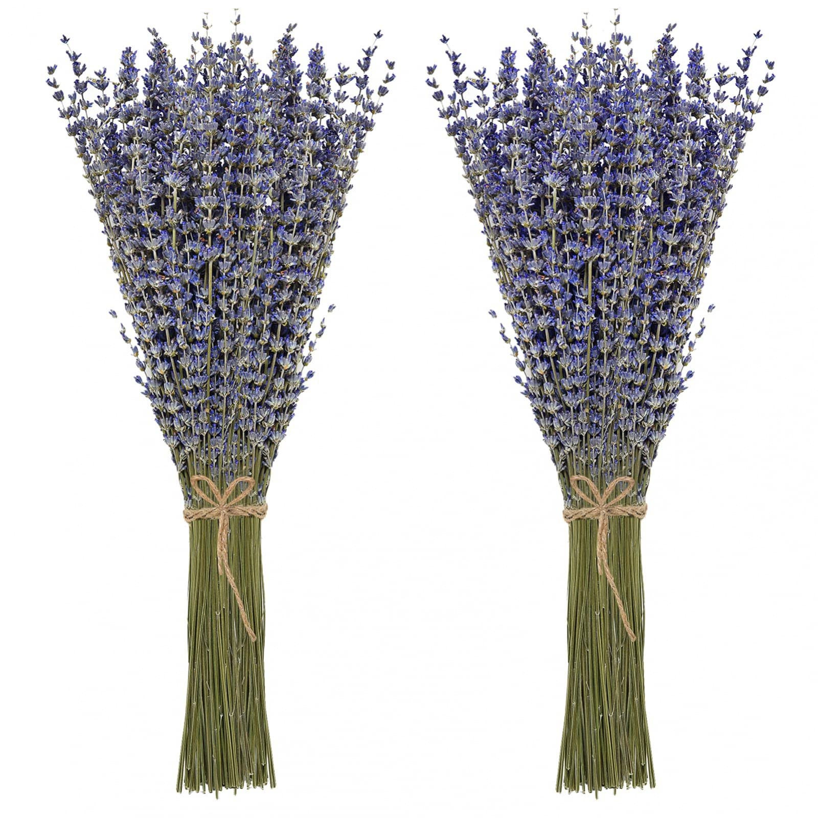 Timoo Dried Lavender Bundles 100 Natural Dried Lavender Flowers for Home Decoration, Photo Props,... | Amazon (US)
