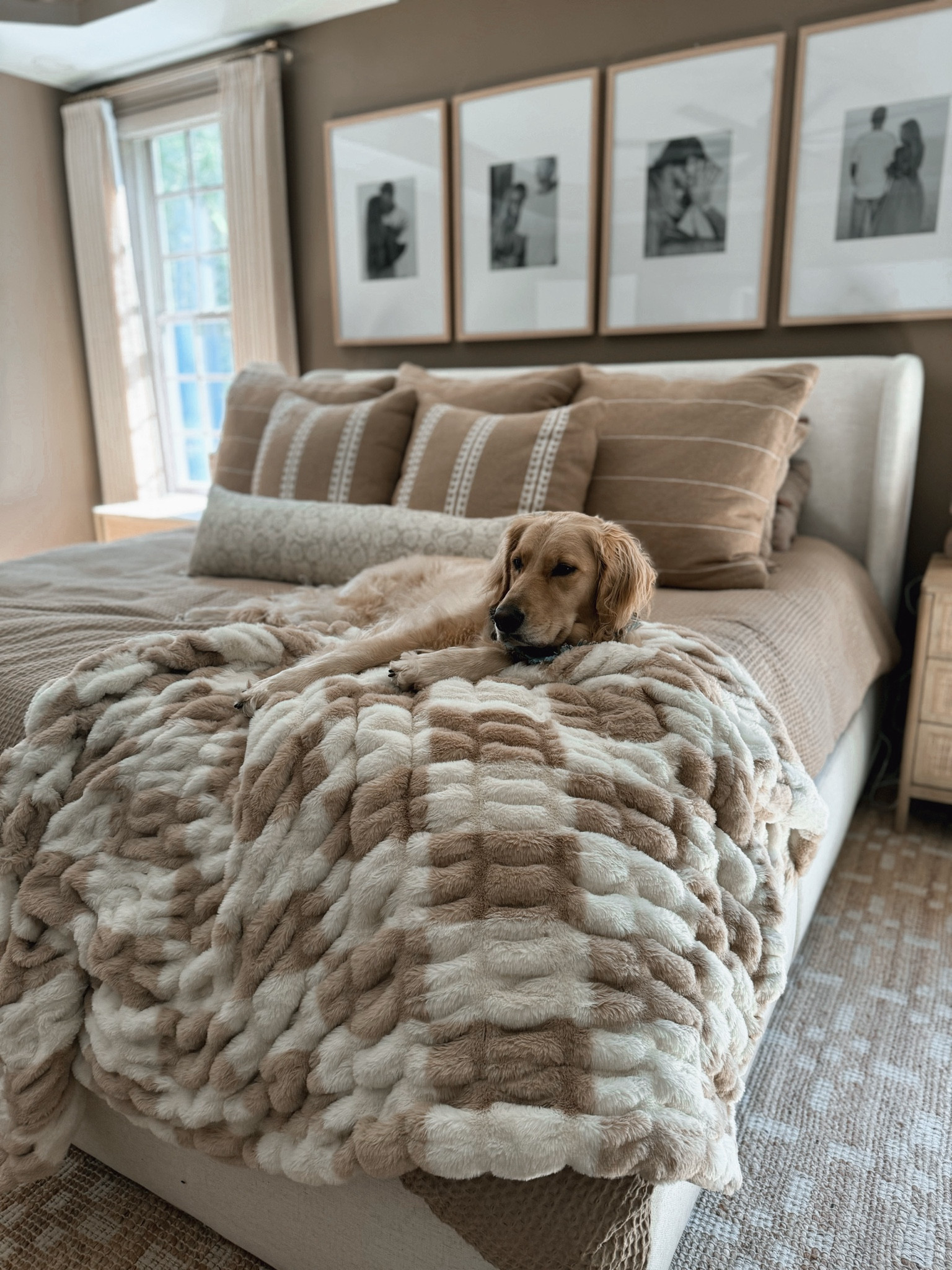 Our bedding🤎 most all is Amazon! Blankie is Lola, might be sold out but they do restock! 

Neutral home / cozy / bedding / Amazon home / gallery wall / Holley Gabrielle / woven nook / target 

#LTKFindsUnder100 #LTKFindsUnder50 #LTKHome