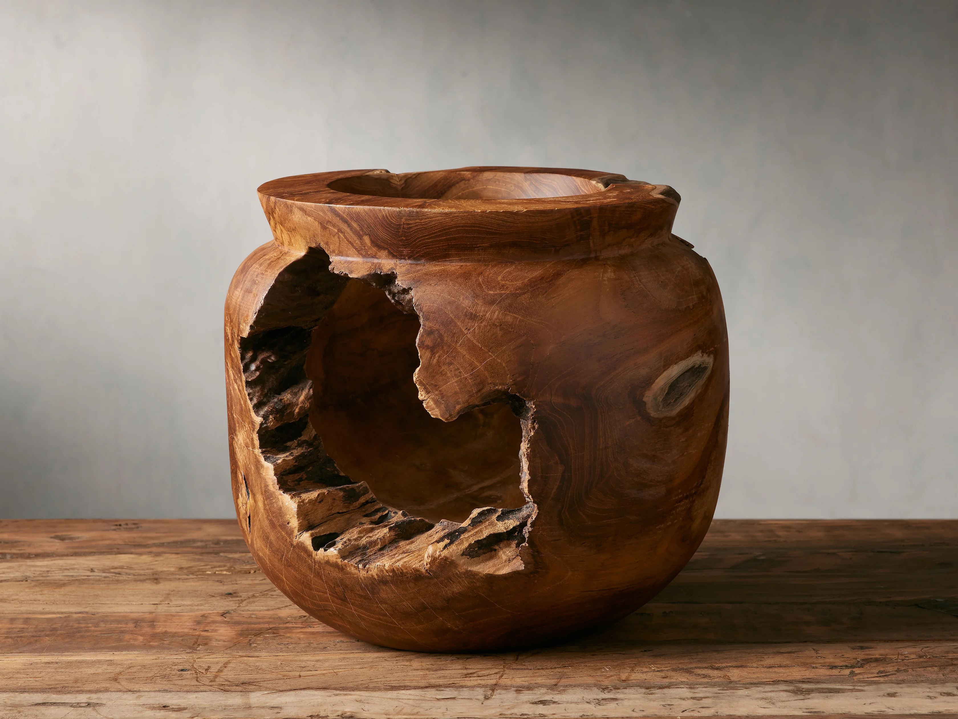 Natural Root Teak Vase | Arhaus