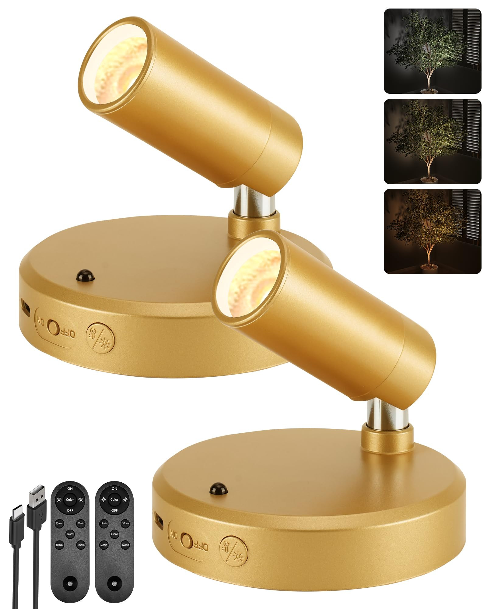 EZVALO LED Spotlight Indoor, 5500mAh Rechargeable Battery-Powered Uplights Indoor, Wireless Mini Art Accent Spot Lights with Remote, for Plants, Display, Painting, Artwork, Portrait (2-Pack-Gold) - Amazon.com | Amazon (US)