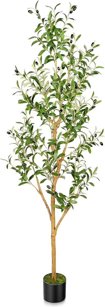 Brand: Tamiaia | Amazon (US)