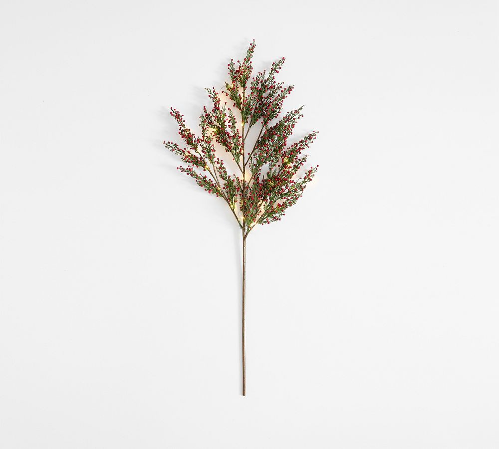 Faux Lit Cedar Berry Pine Branch | Pottery Barn (US)