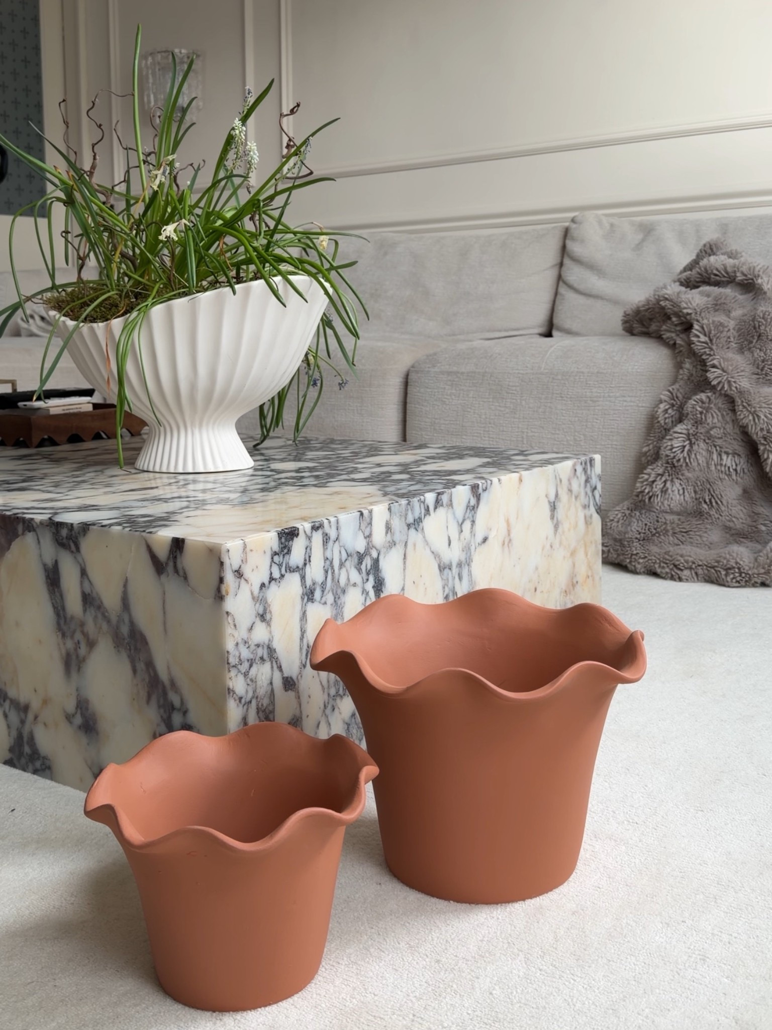 pretty pots 🌱