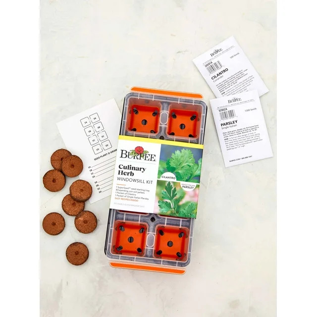 Herb Kit, Culinary Herb Windowsill | Walmart (US)