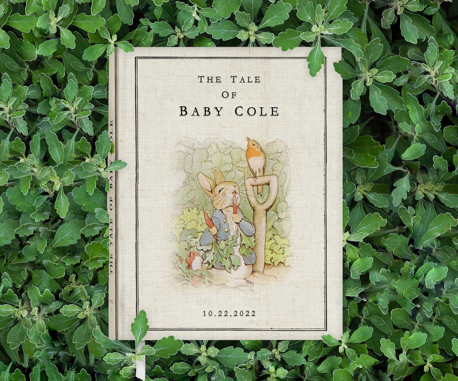 Peter Rabbit Guest Book, Storybook Baby Shower, Personalized Guestbook, Hard Cover Book, First Bi... | Etsy (US)