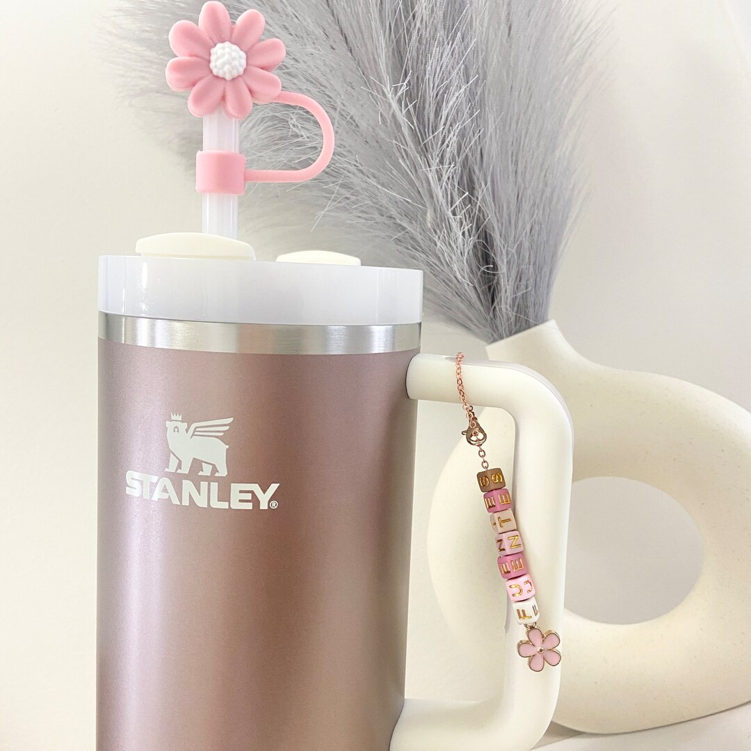 Stanley Cup Charm Stanley Accessory Water Bottle Charm Cup Charm Stanley Cup Charm Tumbler Handle... | Etsy (US)