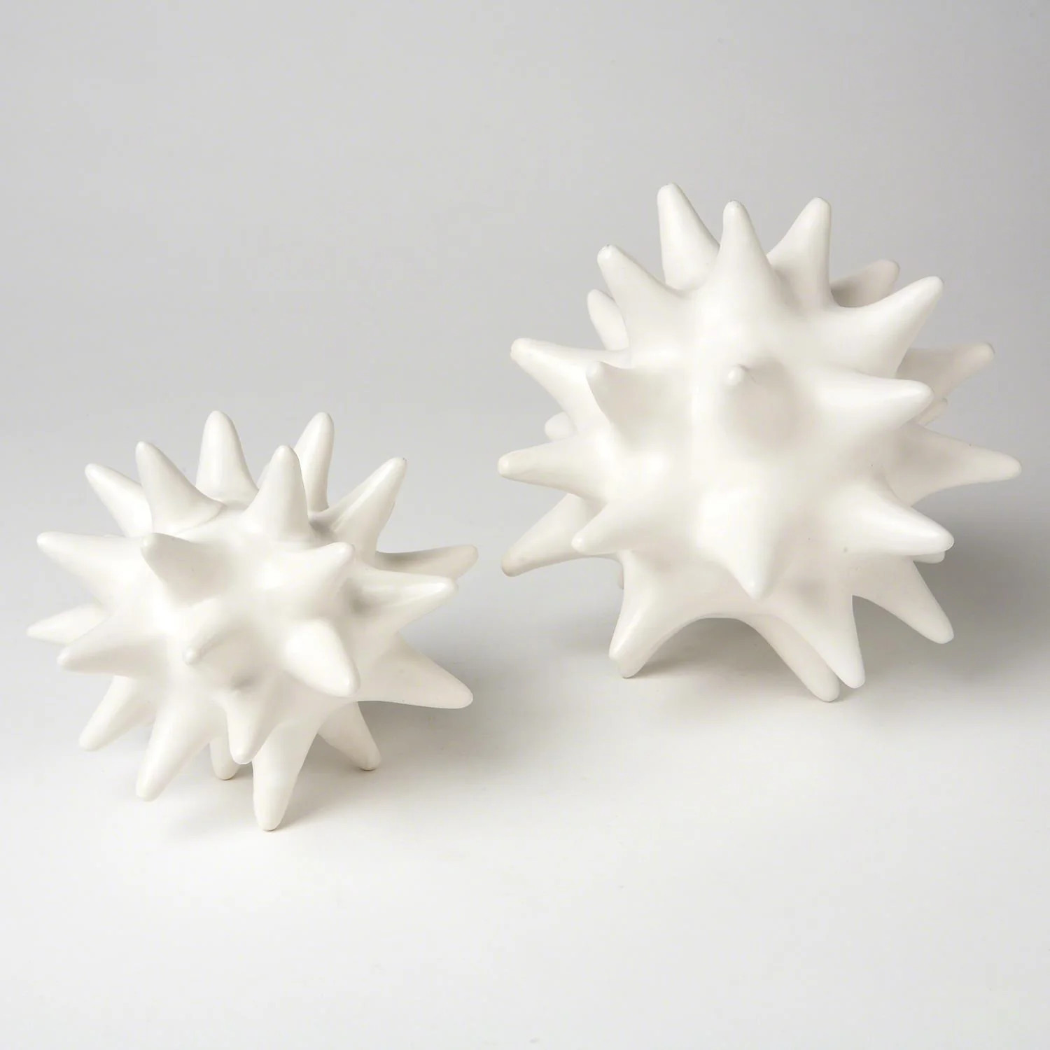 White Urchin | Megan Molten