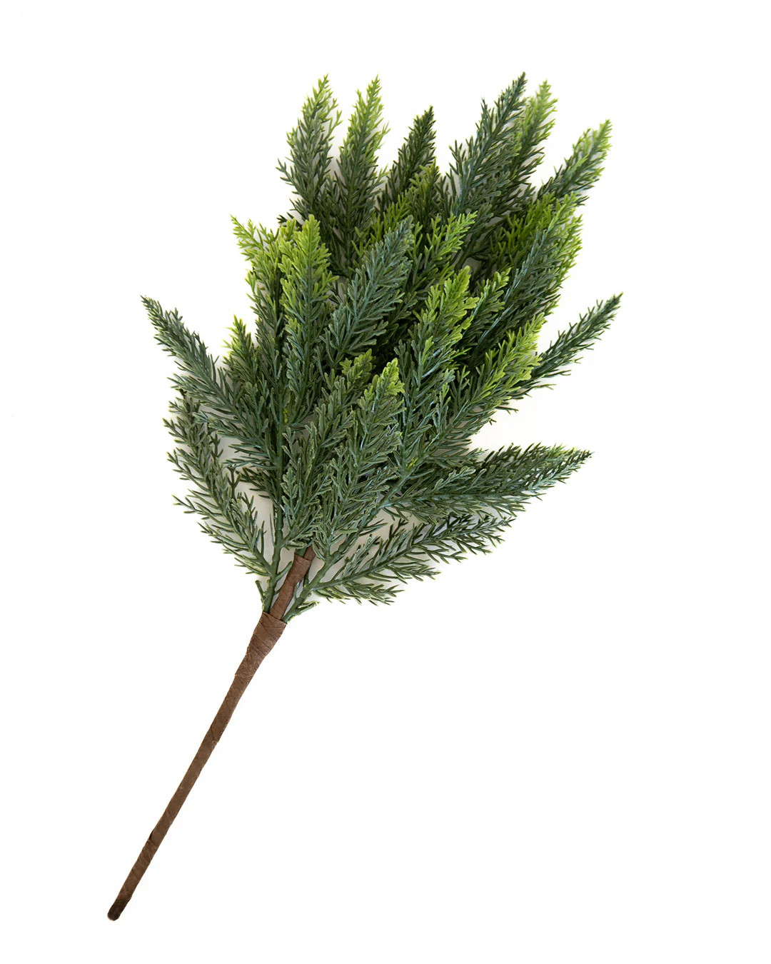 Cedar Stem | Elements by Remedy