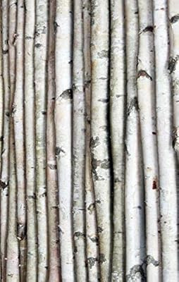 Wilson Enterprises Decorative Birch Poles 4ft (4 Poles 1 1/2"-2 1/2" Dia.) | Amazon (US)