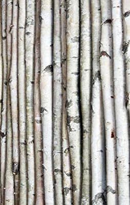 Wilson Enterprises Decorative Birch Poles 4ft (4 Poles 1 1/2"-2 1/2" Dia.) | Amazon (US)