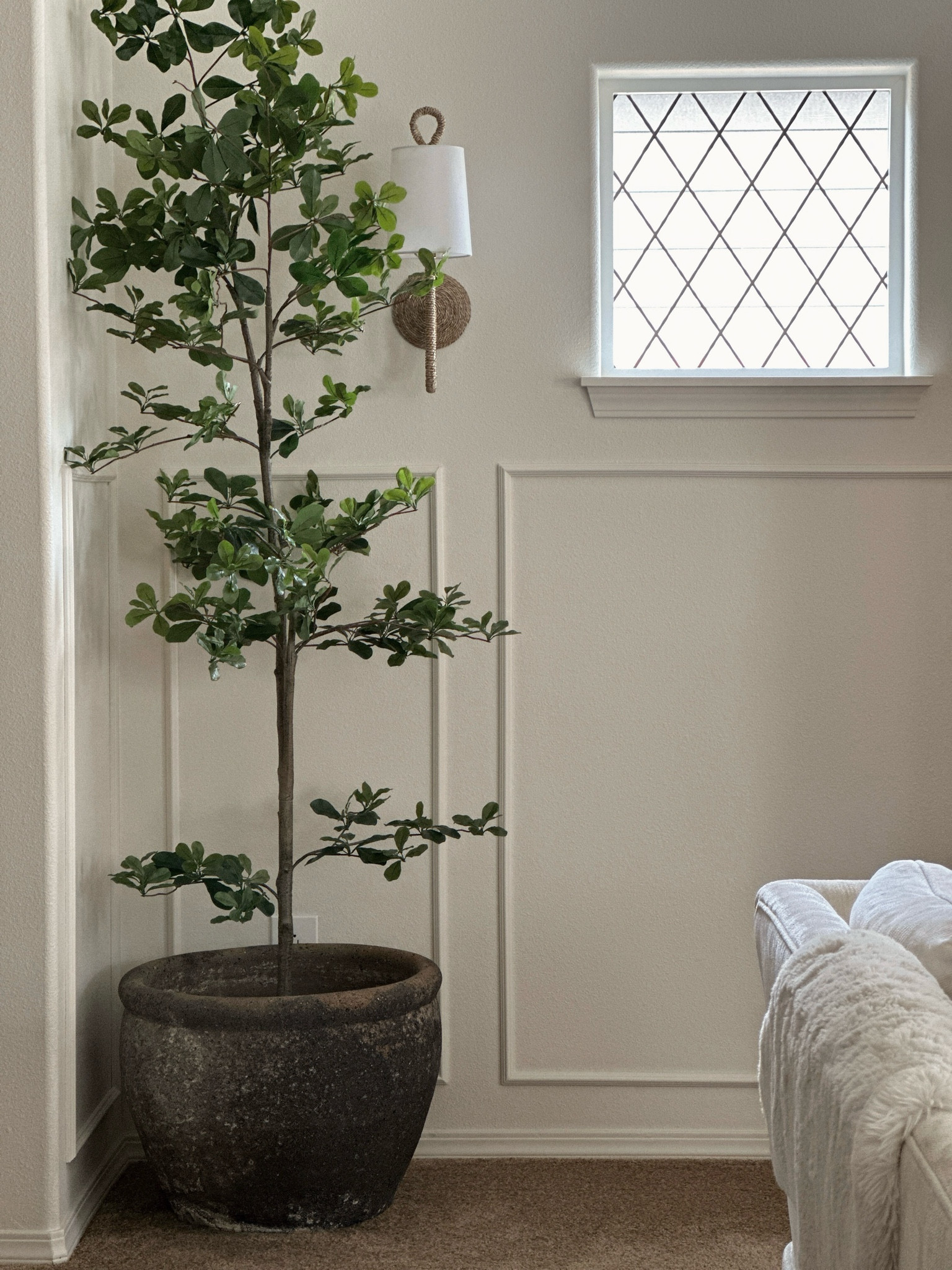 Spot feeling empty where you had the 🎄 tree?

This is my FAVORITE faux black olive tree - concrete planter was a fbmp find but I’ll try to link similar! 

#LTKHome #LTKFindsUnder100