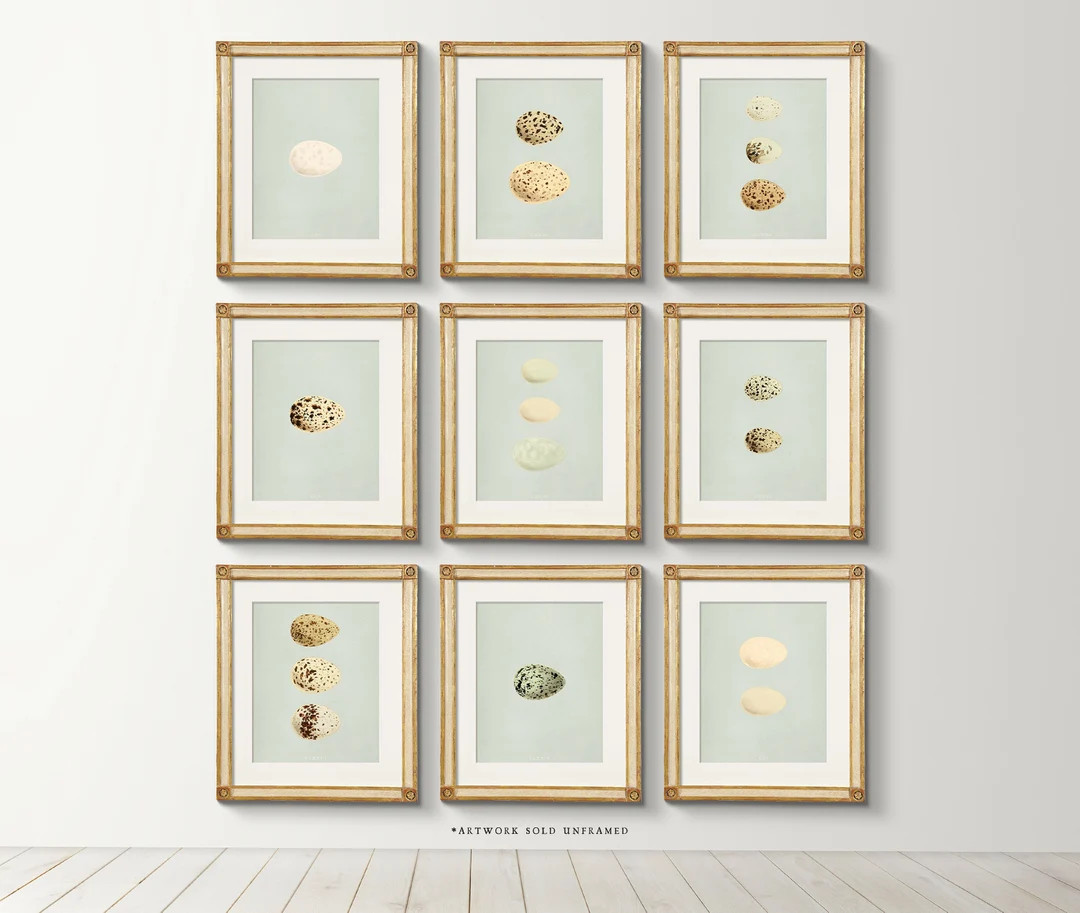 Vintage 19th C Woodblock Eggs - Set of 9 Farmhouse Art Prints | Etsy (US)