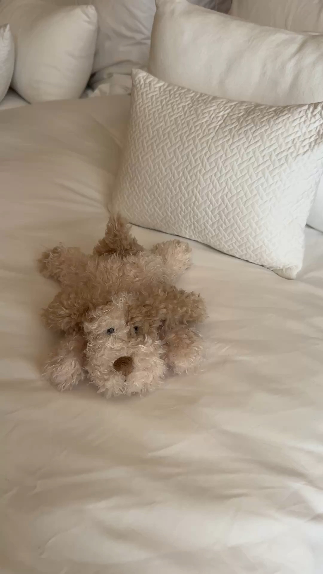 This is Mr. Ruffles one of my stuffed animals. He is so adorable highly recommend  

#LTKstorytime #LTKKids #LTKdayinmylife