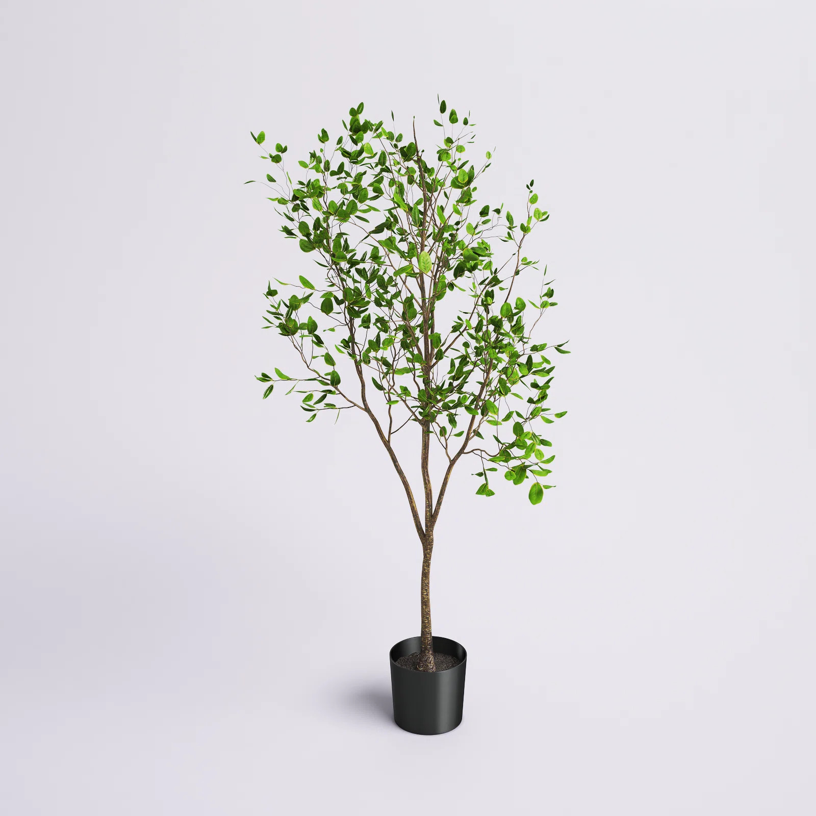 Artificial Potted Milan Leaf Tree in Black Planters Pot. | Wayfair North America