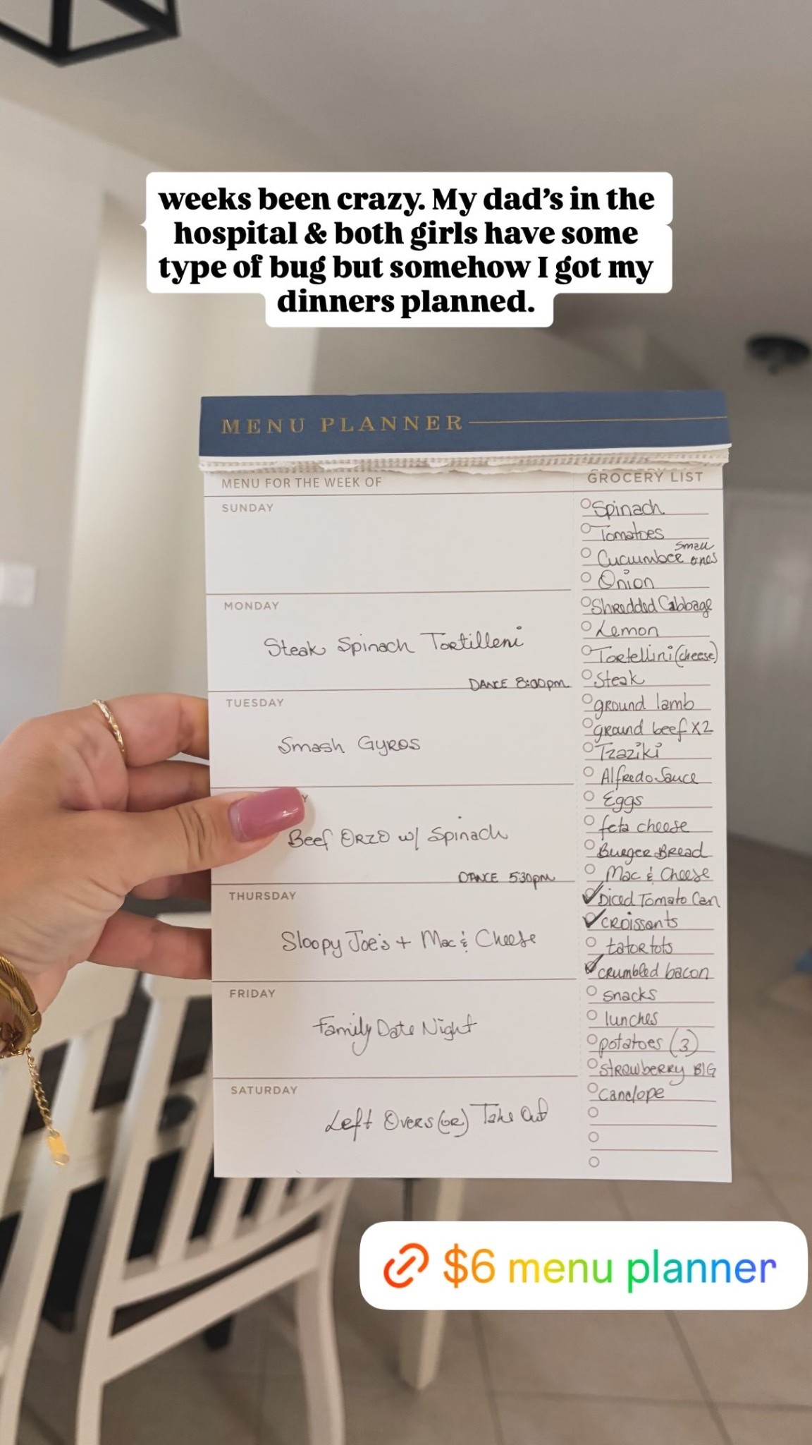 I love this planner!! it makes grocery shopping so much easier!

#LTKmomlife #LTKfoodie #LTKHome