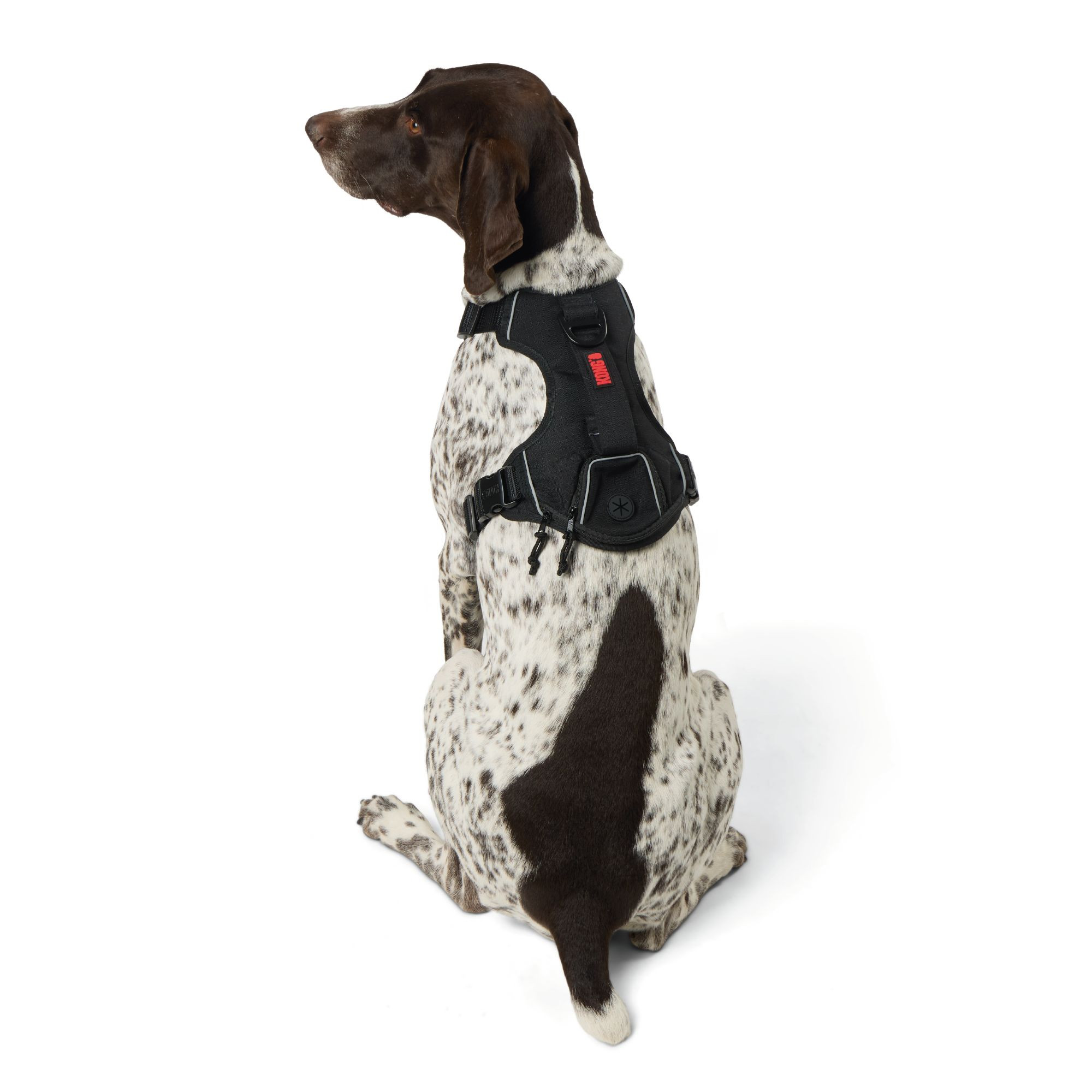KONG® Waste Bag Dog Harness | PetSmart