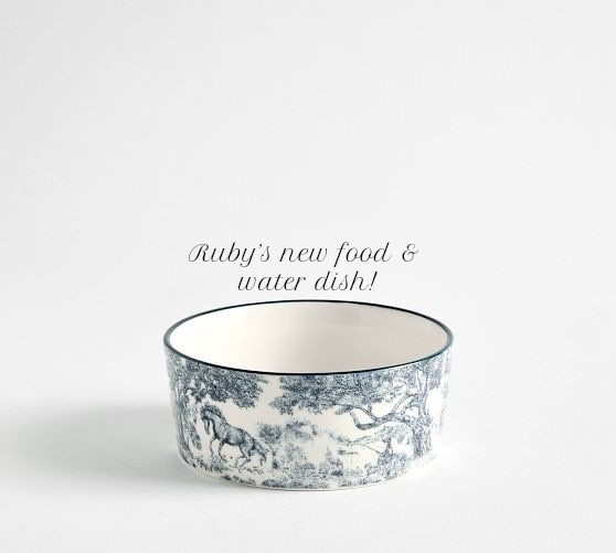 Only the best for our pets

#LTKHome