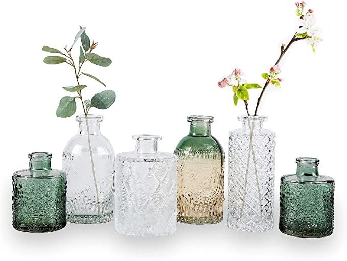 WILDMOS Glass Bud Vase Set of 6, Small Flower Vases for Decorative, Gradient Glass and Embossed S... | Amazon (US)