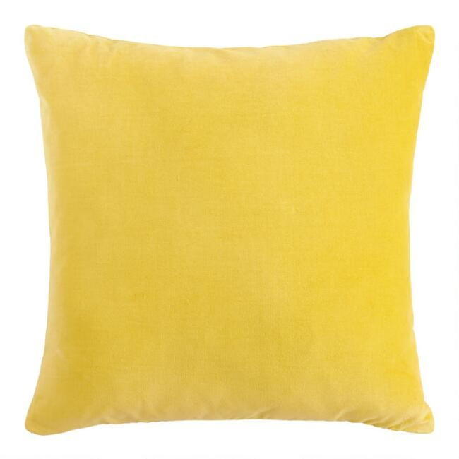 Velvet Throw Pillow | World Market