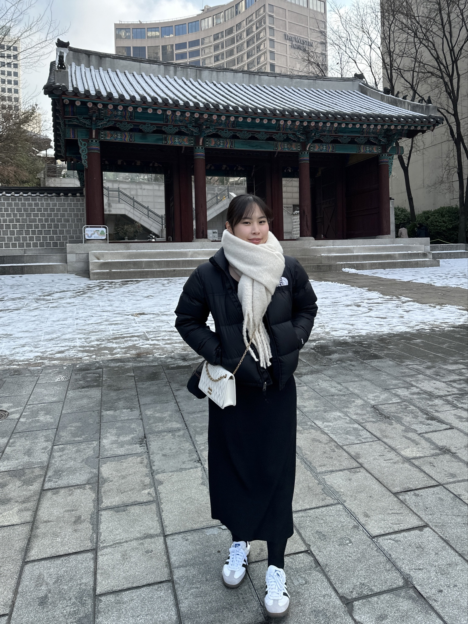 Stay warm in South Korea with The North Face! If I needed to pack only one jacket, it would be this one! 

#LTKSeasonal #LTKtravel #LTKAsia