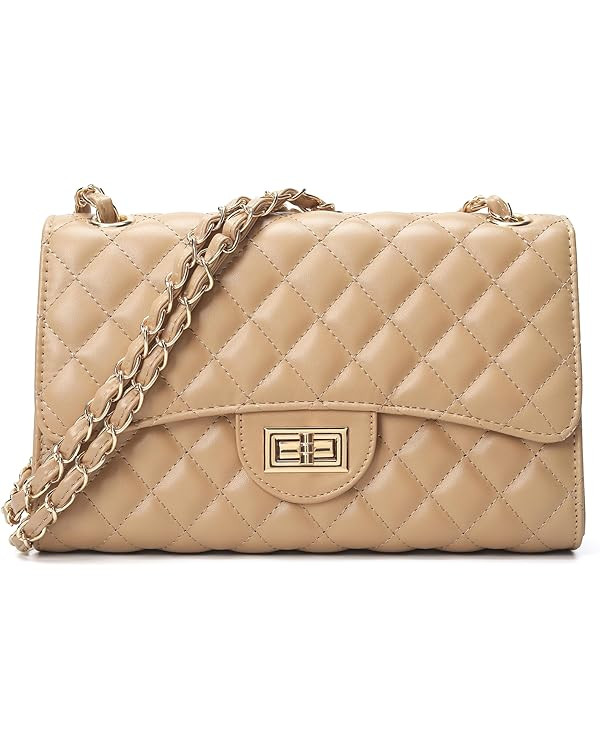 Quilted Leather Crossbody Bags for Women Trendy Ladies Shoulder Purse Satchel HandBag with Chain ... | Amazon (US)