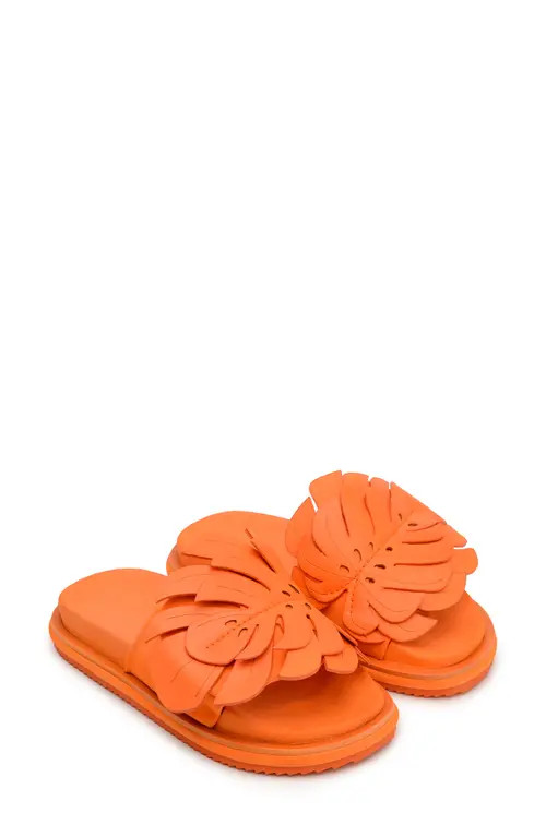 FARM Rio Monstera Leaf Slide in Orange at Nordstrom, Size 7 | Nordstrom